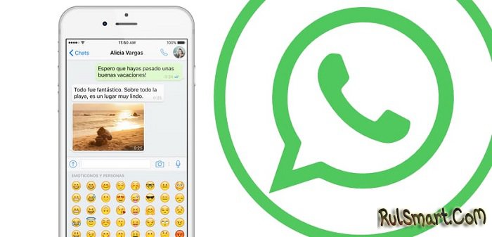 Как сделать резервную копию WhatsApp на iPhone? (простая инструкция)